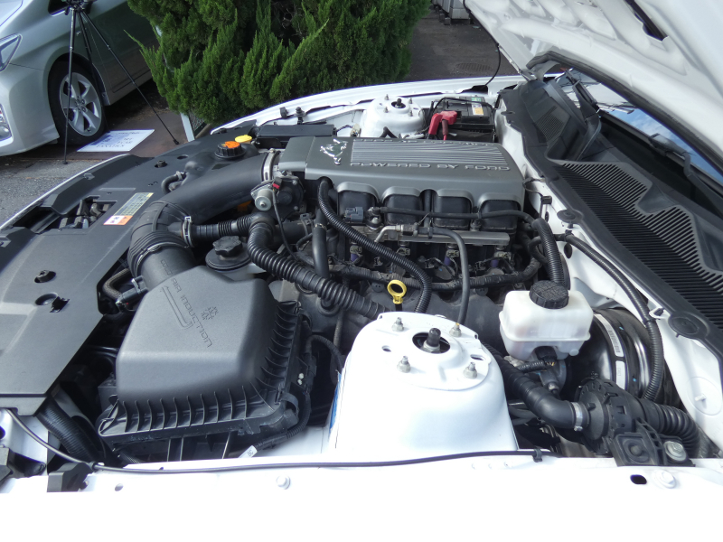 フォード マスタング V8 GTﾌﾟﾚﾐｱﾑ ｺﾝﾊﾞｰﾁﾌﾞﾙ GT500仕様　正規D車 黒革 ｼｰﾄﾋｰﾀｰ 電動ｿﾌﾄﾄｯﾌﾟ ﾅﾋﾞ地ﾃﾞｼﾞ Bｶﾒﾗ ﾌﾛｰﾏｽﾀｰﾏﾌﾗｰ 20AW ｷｾﾉﾝ　2年保証