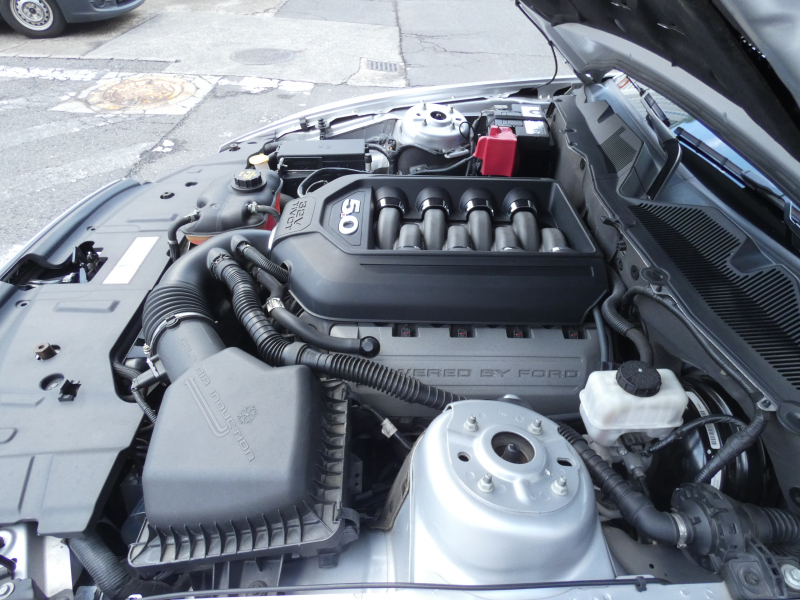 フォード マスタング V8 GTﾌﾟﾚﾐｱﾑ　新車並行 2013年ﾓﾃﾞﾙ GT500ﾌﾛﾝﾄﾌｪｲｽ Borlaﾏﾌﾗｰ AMR19AW 黒革ｼｰﾄ ｼｰﾄﾋｰﾀｰ ｷｾﾉﾝ ETC　2年保証