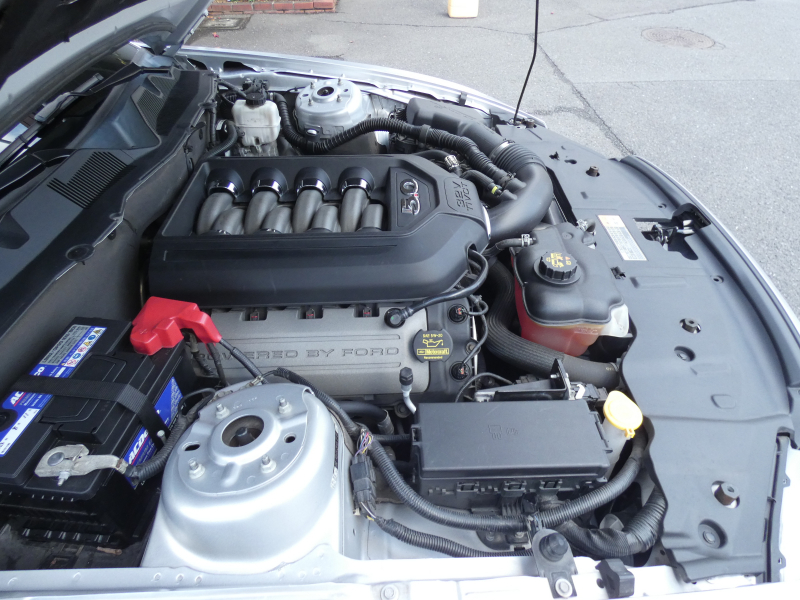 フォード マスタング V8 GTﾌﾟﾚﾐｱﾑ　新車並行 2013年ﾓﾃﾞﾙ GT500ﾌﾛﾝﾄﾌｪｲｽ Borlaﾏﾌﾗｰ AMR19AW 黒革ｼｰﾄ ｼｰﾄﾋｰﾀｰ ｷｾﾉﾝ ETC　2年保証