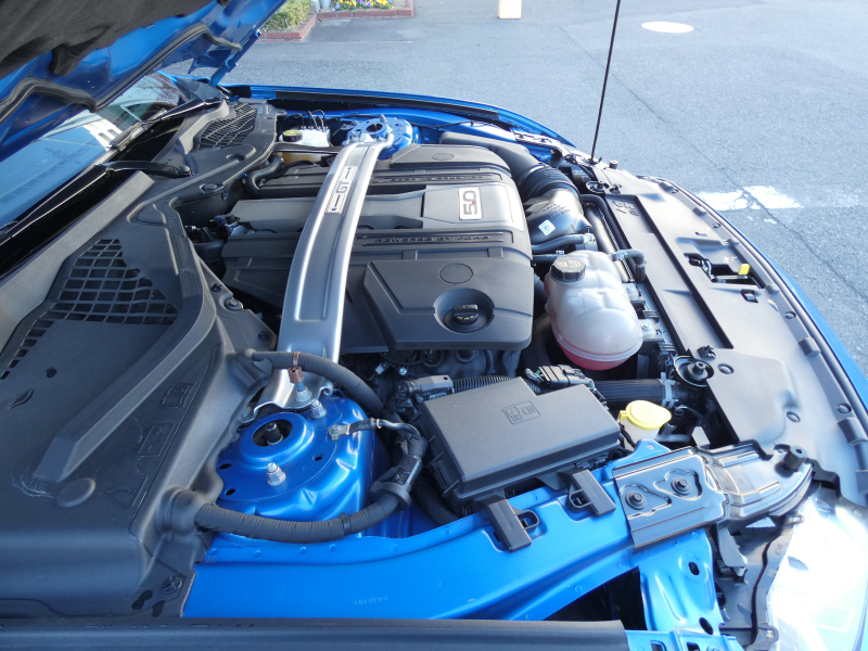 フォード マスタング GT Premium　2019年ﾓﾃﾞﾙ 新並 GTﾊﾟﾌｫｰﾏﾝｽPKG 黒革 Aｶｰﾌﾟﾚｲ GPSﾚｰﾀﾞｰ Bｶﾒﾗ ETC　2年保証