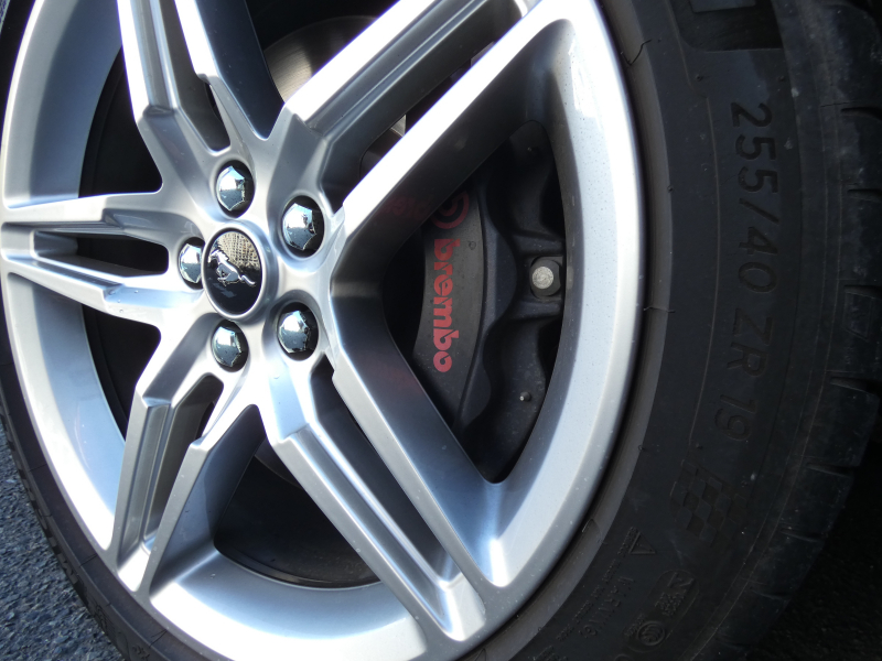 フォード マスタング GT Premium　2019年ﾓﾃﾞﾙ 新並 GTﾊﾟﾌｫｰﾏﾝｽPKG 黒革 Aｶｰﾌﾟﾚｲ GPSﾚｰﾀﾞｰ Bｶﾒﾗ ETC　2年保証