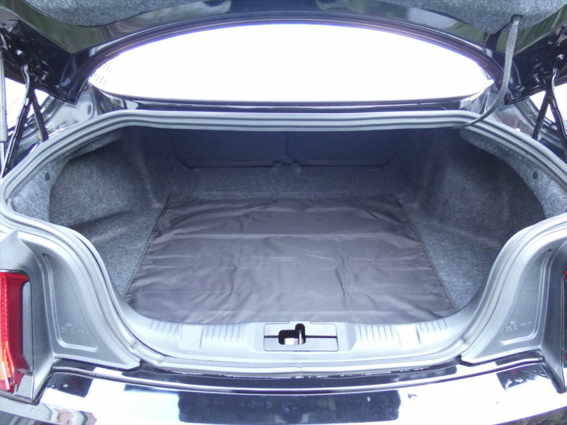 フォード マスタング GT Premium　2019年ﾓﾃﾞﾙ 6MT ﾊﾟﾌｫｰﾏﾝｽPKG 401Aｴｸｲｯﾌﾟﾒﾝﾄ SYNCﾀｯﾁﾓﾆﾀｰ ﾌﾞﾚﾝﾎﾞ LEDﾍｯﾄﾞﾗｲﾄ Bｶﾒﾗ　2年保証