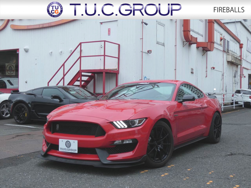 フォード マスタング ｼｪﾙﾋﾞｰGT350　2016年ﾓﾃﾞﾙ 6MT  RECAROｼｰﾄ ALPINEｵｰﾃﾞｨｵ Audisonｱﾝﾌﾟ&JLｳｰﾌｧｰ ｱｸﾃｨﾌﾞﾊﾞﾙﾌﾞｴｷｿﾞｰｽﾄ Bｶﾒﾗ ｸﾙｺﾝ ETC　2年保証