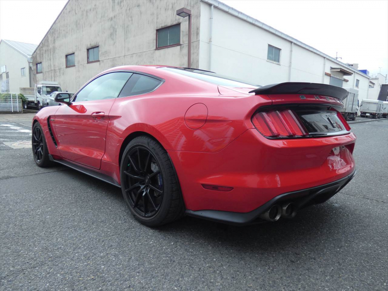フォード マスタング ｼｪﾙﾋﾞｰGT350　2016年ﾓﾃﾞﾙ 6MT  RECAROｼｰﾄ ALPINEｵｰﾃﾞｨｵ Audisonｱﾝﾌﾟ&JLｳｰﾌｧｰ ｱｸﾃｨﾌﾞﾊﾞﾙﾌﾞｴｷｿﾞｰｽﾄ Bｶﾒﾗ ｸﾙｺﾝ ETC　2年保証