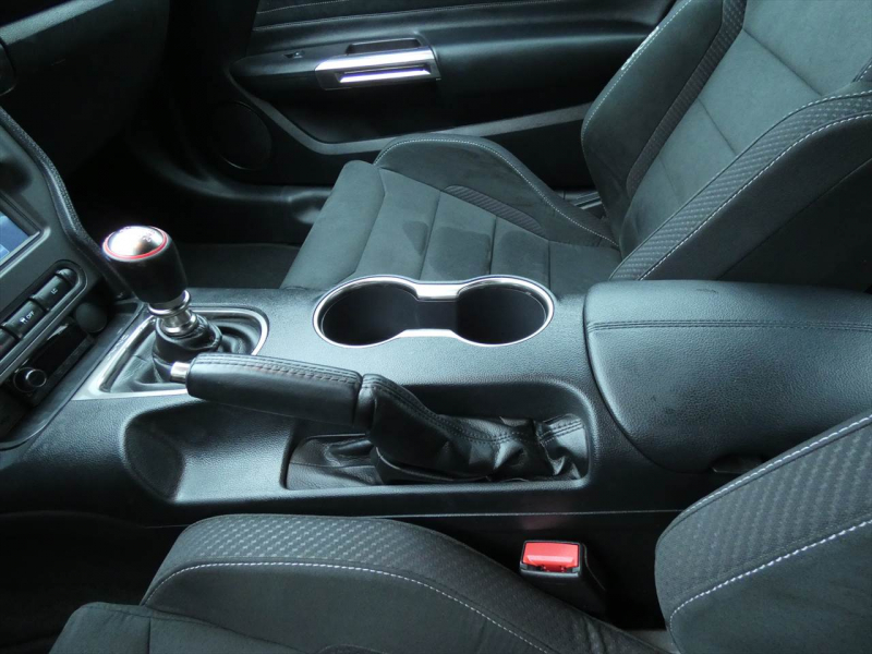 フォード マスタング ｼｪﾙﾋﾞｰGT350　2016年ﾓﾃﾞﾙ 6MT  RECAROｼｰﾄ ALPINEｵｰﾃﾞｨｵ Audisonｱﾝﾌﾟ&JLｳｰﾌｧｰ ｱｸﾃｨﾌﾞﾊﾞﾙﾌﾞｴｷｿﾞｰｽﾄ Bｶﾒﾗ ｸﾙｺﾝ ETC　2年保証