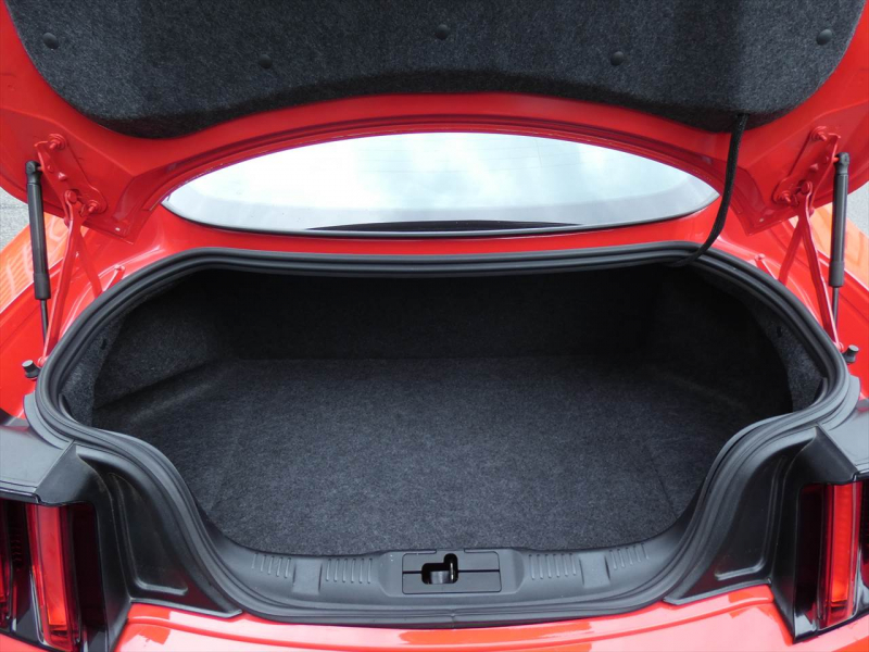 フォード マスタング ｼｪﾙﾋﾞｰGT350　2016年ﾓﾃﾞﾙ 6MT  RECAROｼｰﾄ ALPINEｵｰﾃﾞｨｵ Audisonｱﾝﾌﾟ&JLｳｰﾌｧｰ ｱｸﾃｨﾌﾞﾊﾞﾙﾌﾞｴｷｿﾞｰｽﾄ Bｶﾒﾗ ｸﾙｺﾝ ETC　2年保証