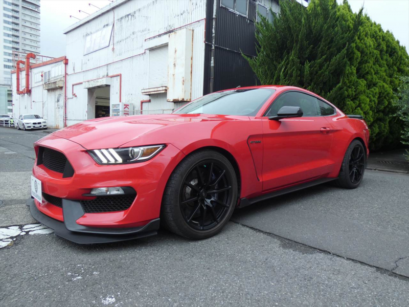 フォード マスタング ｼｪﾙﾋﾞｰGT350　2016年ﾓﾃﾞﾙ 6MT  RECAROｼｰﾄ ALPINEｵｰﾃﾞｨｵ Audisonｱﾝﾌﾟ&JLｳｰﾌｧｰ ｱｸﾃｨﾌﾞﾊﾞﾙﾌﾞｴｷｿﾞｰｽﾄ Bｶﾒﾗ ｸﾙｺﾝ ETC　2年保証