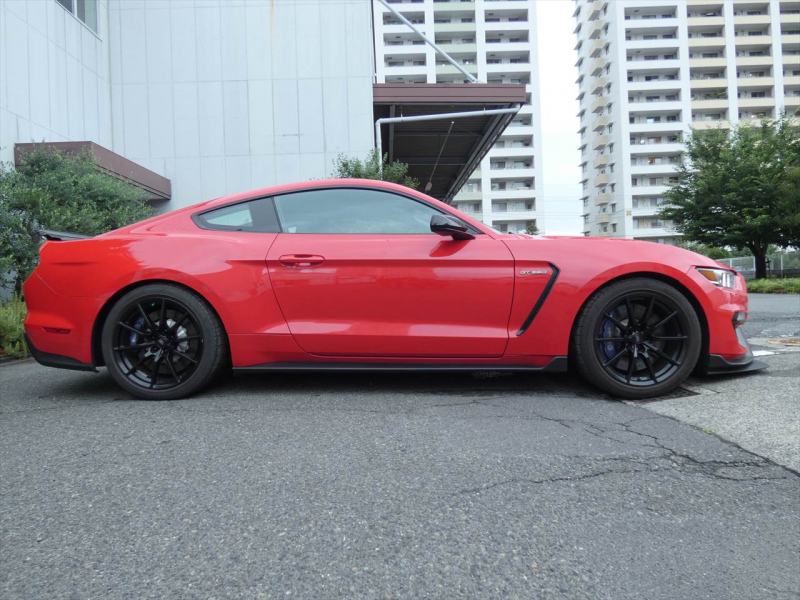 フォード マスタング ｼｪﾙﾋﾞｰGT350　2016年ﾓﾃﾞﾙ 6MT  RECAROｼｰﾄ ALPINEｵｰﾃﾞｨｵ Audisonｱﾝﾌﾟ&JLｳｰﾌｧｰ ｱｸﾃｨﾌﾞﾊﾞﾙﾌﾞｴｷｿﾞｰｽﾄ Bｶﾒﾗ ｸﾙｺﾝ ETC　2年保証