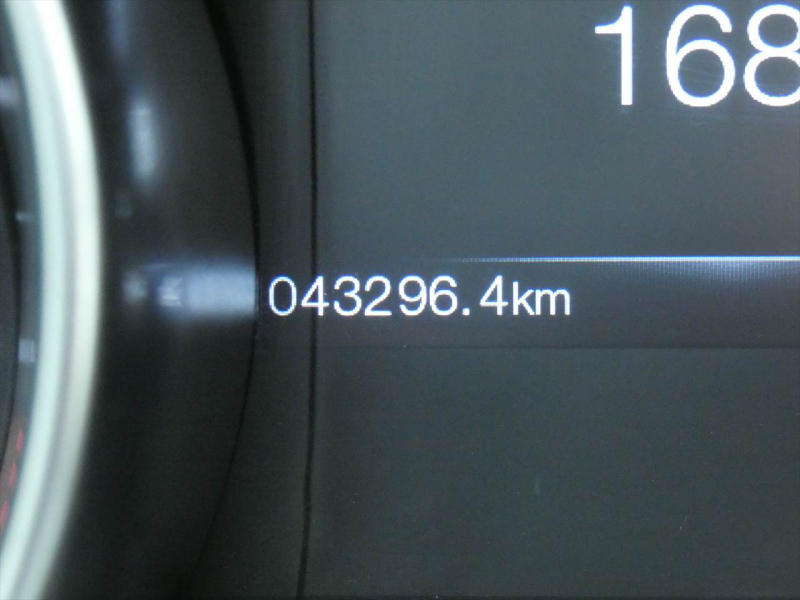 フォード マスタング ｼｪﾙﾋﾞｰGT350　2016年ﾓﾃﾞﾙ 6MT  RECAROｼｰﾄ ALPINEｵｰﾃﾞｨｵ Audisonｱﾝﾌﾟ&JLｳｰﾌｧｰ ｱｸﾃｨﾌﾞﾊﾞﾙﾌﾞｴｷｿﾞｰｽﾄ Bｶﾒﾗ ｸﾙｺﾝ ETC　2年保証