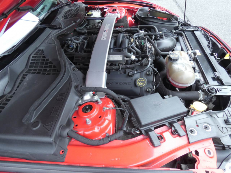 フォード マスタング ｼｪﾙﾋﾞｰGT350　2016年ﾓﾃﾞﾙ 6MT  RECAROｼｰﾄ ALPINEｵｰﾃﾞｨｵ Audisonｱﾝﾌﾟ&JLｳｰﾌｧｰ ｱｸﾃｨﾌﾞﾊﾞﾙﾌﾞｴｷｿﾞｰｽﾄ Bｶﾒﾗ ｸﾙｺﾝ ETC　2年保証