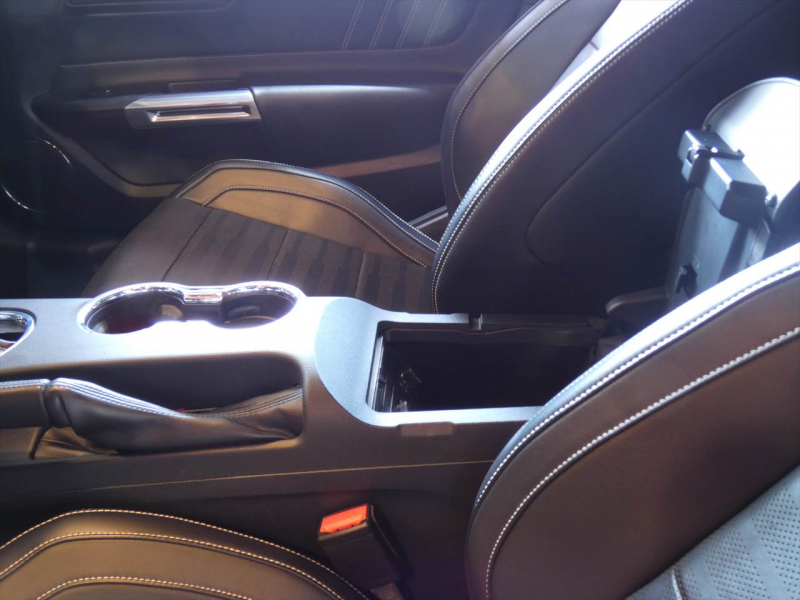 フォード マスタング ｴｺﾌﾞｰｽﾄ　2015yﾓﾃﾞﾙ 50ｲﾔｰｽﾞｴﾃﾞｨｼｮﾝ 正規D車 1ｵｰﾅｰ 黒革ｼｰﾄ ｼｰﾄﾋｰﾀｰ&ｸｰﾗｰ 純正19ｲﾝﾁﾌﾞﾗｯｸAW ﾀｯﾁｽｸﾘｰﾝﾃﾞｨｽﾌﾟﾚｲ Bｶﾒﾗ ETC　2年保証