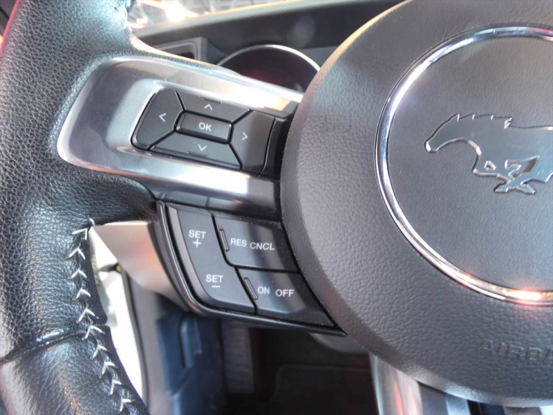 フォード マスタング ｴｺﾌﾞｰｽﾄ　2015yﾓﾃﾞﾙ 50ｲﾔｰｽﾞｴﾃﾞｨｼｮﾝ 正規D車 1ｵｰﾅｰ 黒革ｼｰﾄ ｼｰﾄﾋｰﾀｰ&ｸｰﾗｰ 純正19ｲﾝﾁﾌﾞﾗｯｸAW ﾀｯﾁｽｸﾘｰﾝﾃﾞｨｽﾌﾟﾚｲ Bｶﾒﾗ ETC　2年保証