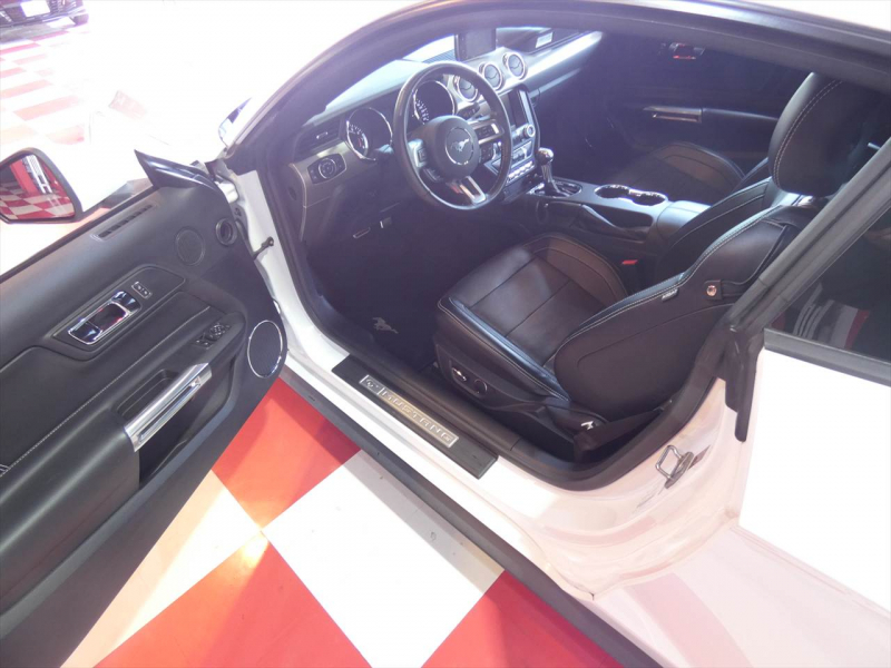 フォード マスタング ｴｺﾌﾞｰｽﾄ　2015yﾓﾃﾞﾙ 50ｲﾔｰｽﾞｴﾃﾞｨｼｮﾝ 正規D車 1ｵｰﾅｰ 黒革ｼｰﾄ ｼｰﾄﾋｰﾀｰ&ｸｰﾗｰ 純正19ｲﾝﾁﾌﾞﾗｯｸAW ﾀｯﾁｽｸﾘｰﾝﾃﾞｨｽﾌﾟﾚｲ Bｶﾒﾗ ETC　2年保証