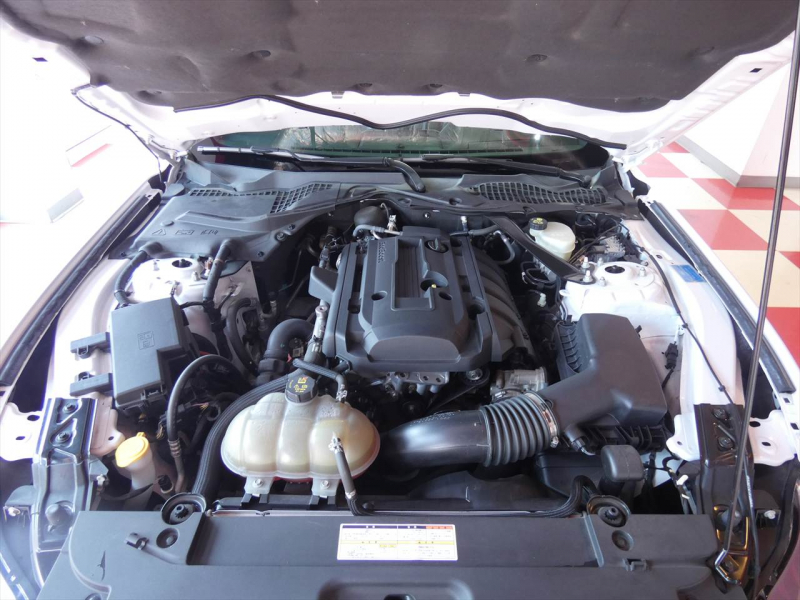 フォード マスタング ｴｺﾌﾞｰｽﾄ　2015yﾓﾃﾞﾙ 50ｲﾔｰｽﾞｴﾃﾞｨｼｮﾝ 正規D車 1ｵｰﾅｰ 黒革ｼｰﾄ ｼｰﾄﾋｰﾀｰ&ｸｰﾗｰ 純正19ｲﾝﾁﾌﾞﾗｯｸAW ﾀｯﾁｽｸﾘｰﾝﾃﾞｨｽﾌﾟﾚｲ Bｶﾒﾗ ETC　2年保証