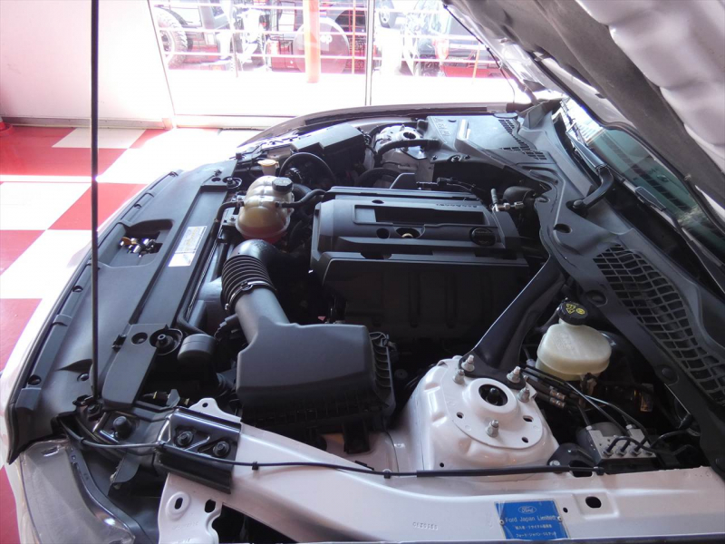 フォード マスタング ｴｺﾌﾞｰｽﾄ　2015yﾓﾃﾞﾙ 50ｲﾔｰｽﾞｴﾃﾞｨｼｮﾝ 正規D車 1ｵｰﾅｰ 黒革ｼｰﾄ ｼｰﾄﾋｰﾀｰ&ｸｰﾗｰ 純正19ｲﾝﾁﾌﾞﾗｯｸAW ﾀｯﾁｽｸﾘｰﾝﾃﾞｨｽﾌﾟﾚｲ Bｶﾒﾗ ETC　2年保証