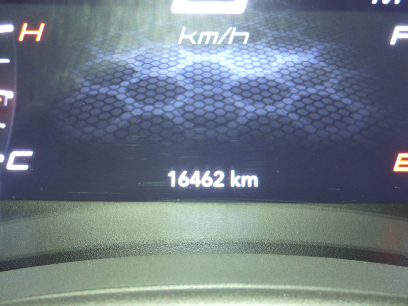 ダッジ チャージャー GT Plus　2020年ﾓﾃﾞﾙ 黒ｺﾝﾋﾞ革 ｼｰﾄﾋｰﾀｰ&ｸｰﾗｰ Aｶｰﾌﾟﾚｲ Bｶﾒﾗ ETC　2年保証