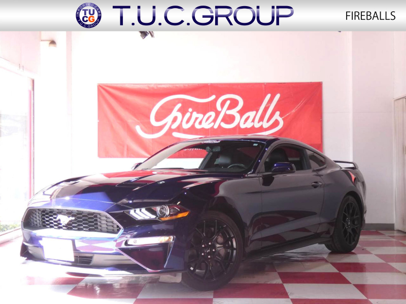 フォード マスタング ｴｺﾌﾞｰｽﾄ ﾌﾟﾚﾐｱﾑ　2019yﾓﾃﾞﾙ ﾊﾟﾌｫｰﾏﾝｽPKG  黒革ｼｰﾄﾋｰﾀｰ&ﾍﾞﾝﾁﾚｰｼｮﾝ 専用19ｲﾝﾁAW 2年保証