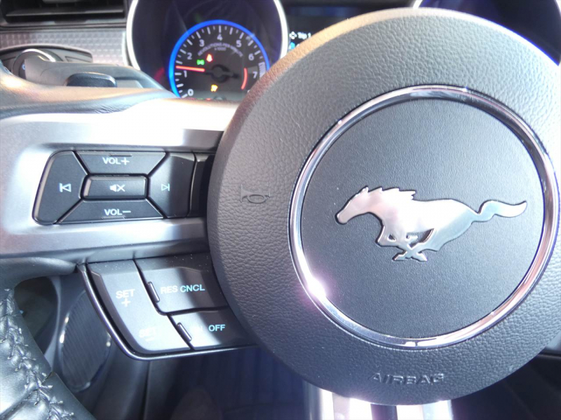 フォード マスタング ｴｺﾌﾞｰｽﾄ ﾌﾟﾚﾐｱﾑ　2019yﾓﾃﾞﾙ ﾊﾟﾌｫｰﾏﾝｽPKG  黒革ｼｰﾄﾋｰﾀｰ&ﾍﾞﾝﾁﾚｰｼｮﾝ 専用19ｲﾝﾁAW 2年保証