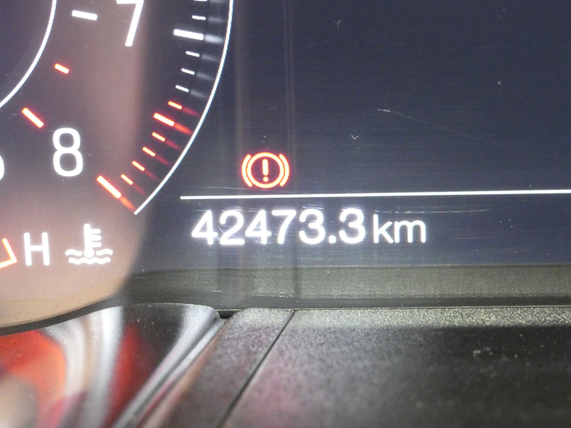 フォード マスタング BULLITT    2020年ﾓﾃﾞﾙ 6MT&ﾚﾌﾞﾏｯﾁ ﾚｶﾛﾚｻﾞｰｼｰﾄ 19AW Brembo 可変ﾏﾌﾗｰ AppleCarPlay　2年保証