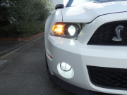 フォード マスタング V8 GTﾌﾟﾚﾐｱﾑ ｺﾝﾊﾞｰﾁﾌﾞﾙ GT500仕様　正規D車 黒革 ｼｰﾄﾋｰﾀｰ 電動ｿﾌﾄﾄｯﾌﾟ ﾅﾋﾞ地ﾃﾞｼﾞ Bｶﾒﾗ ﾌﾛｰﾏｽﾀｰﾏﾌﾗｰ 20AW ｷｾﾉﾝ　2年保証