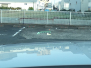 キャデラック エスカレード ﾌﾟﾗﾁﾅﾑ　正規D車 2019年ﾓﾃﾞﾙ 7人乗り3rdｼｰﾄ ｾﾐｱﾆﾘﾝ革 ｻﾝﾙｰﾌ ﾅﾋﾞTV AppleCarPlay ﾌﾘｯﾌﾟﾀﾞｳﾝ ACC ﾌﾞﾗｲﾝﾄﾞｽﾎﾟｯﾄ ｵｰﾄﾃｰﾙｹﾞｰﾄ 全周囲ｶﾒﾗ　2年保証