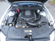 フォード マスタング V8 GTﾌﾟﾚﾐｱﾑ　新車並行 2013年ﾓﾃﾞﾙ GT500ﾌﾛﾝﾄﾌｪｲｽ Borlaﾏﾌﾗｰ AMR19AW 黒革ｼｰﾄ ｼｰﾄﾋｰﾀｰ ｷｾﾉﾝ ETC　2年保証