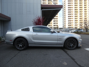 フォード マスタング V8 GTﾌﾟﾚﾐｱﾑ　新車並行 2013年ﾓﾃﾞﾙ GT500ﾌﾛﾝﾄﾌｪｲｽ Borlaﾏﾌﾗｰ AMR19AW 黒革ｼｰﾄ ｼｰﾄﾋｰﾀｰ ｷｾﾉﾝ ETC　2年保証