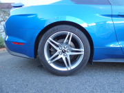 フォード マスタング GT Premium　2019年ﾓﾃﾞﾙ 新並 GTﾊﾟﾌｫｰﾏﾝｽPKG 黒革 Aｶｰﾌﾟﾚｲ GPSﾚｰﾀﾞｰ Bｶﾒﾗ ETC　2年保証