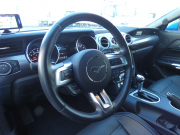 フォード マスタング GT Premium　2019年ﾓﾃﾞﾙ 新並 GTﾊﾟﾌｫｰﾏﾝｽPKG 黒革 Aｶｰﾌﾟﾚｲ GPSﾚｰﾀﾞｰ Bｶﾒﾗ ETC　2年保証