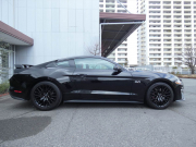 フォード マスタング GT Premium　2019年ﾓﾃﾞﾙ 6MT ﾊﾟﾌｫｰﾏﾝｽPKG 401Aｴｸｲｯﾌﾟﾒﾝﾄ SYNCﾀｯﾁﾓﾆﾀｰ ﾌﾞﾚﾝﾎﾞ LEDﾍｯﾄﾞﾗｲﾄ Bｶﾒﾗ　2年保証