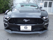 フォード マスタング GT Premium　2019年ﾓﾃﾞﾙ 6MT ﾊﾟﾌｫｰﾏﾝｽPKG 401Aｴｸｲｯﾌﾟﾒﾝﾄ SYNCﾀｯﾁﾓﾆﾀｰ ﾌﾞﾚﾝﾎﾞ LEDﾍｯﾄﾞﾗｲﾄ Bｶﾒﾗ　2年保証