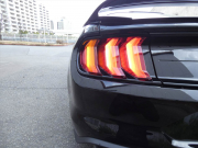 フォード マスタング GT Premium　2019年ﾓﾃﾞﾙ 6MT ﾊﾟﾌｫｰﾏﾝｽPKG 401Aｴｸｲｯﾌﾟﾒﾝﾄ SYNCﾀｯﾁﾓﾆﾀｰ ﾌﾞﾚﾝﾎﾞ LEDﾍｯﾄﾞﾗｲﾄ Bｶﾒﾗ　2年保証