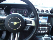 フォード マスタング GT Premium　2019年ﾓﾃﾞﾙ 6MT ﾊﾟﾌｫｰﾏﾝｽPKG 401Aｴｸｲｯﾌﾟﾒﾝﾄ SYNCﾀｯﾁﾓﾆﾀｰ ﾌﾞﾚﾝﾎﾞ LEDﾍｯﾄﾞﾗｲﾄ Bｶﾒﾗ　2年保証