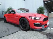 フォード マスタング ｼｪﾙﾋﾞｰGT350　2016年ﾓﾃﾞﾙ 6MT  RECAROｼｰﾄ ALPINEｵｰﾃﾞｨｵ Audisonｱﾝﾌﾟ&JLｳｰﾌｧｰ ｱｸﾃｨﾌﾞﾊﾞﾙﾌﾞｴｷｿﾞｰｽﾄ Bｶﾒﾗ ｸﾙｺﾝ ETC　2年保証