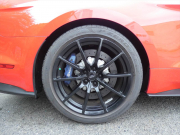 フォード マスタング ｼｪﾙﾋﾞｰGT350　2016年ﾓﾃﾞﾙ 6MT  RECAROｼｰﾄ ALPINEｵｰﾃﾞｨｵ Audisonｱﾝﾌﾟ&JLｳｰﾌｧｰ ｱｸﾃｨﾌﾞﾊﾞﾙﾌﾞｴｷｿﾞｰｽﾄ Bｶﾒﾗ ｸﾙｺﾝ ETC　2年保証