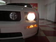 フォード マスタング GT Premium　2008年ﾓﾃﾞﾙ 新並 1ｵｰﾅｰ ﾌﾞﾙｰﾌﾚｰﾑ物 黒革 社外ﾏﾌﾗｰ CPUﾁｭｰﾝ ｻﾘｰﾝ18ｲﾝﾁAW　2年保証