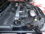 フォード マスタング シェルビーGT350 2017年モデル 6速MT レカロスポーツシート 19AW Brembo 5.2Lフラットプレーンクランク 可変マフラー AppleCarPlay 2年保証