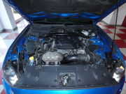 フォード マスタング ｴｺﾌﾞｰｽﾄ ﾌﾟﾚﾐｱﾑ　2019yﾓﾃﾞﾙ ﾊﾟﾌｫｰﾏﾝｽPKG 201A 黒革 車高調 可変ﾊﾞﾙﾌﾞ付社外ﾏﾌﾗｰ 専用19ｲﾝﾁAW　2年保証