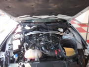 フォード マスタング MACH1　2021年ﾓﾃﾞﾙ 10AT&ﾊﾟﾄﾞﾙｼﾌﾄ ﾚｶﾛﾚｻﾞｰｼｰﾄ 19AW Brembo 5.0L HO V8 可変ﾏﾌﾗｰ AppleCarPlay　2年保証