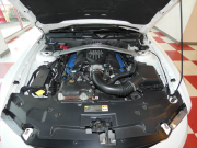 フォード マスタング BOSS302 限定ﾓﾃﾞﾙ ﾚｶﾛｼｰﾄ ﾌﾞﾚﾝﾎﾞ6MT 19AW　2年保証