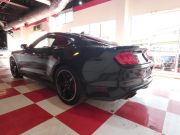 フォード マスタング BULLITT    2020年ﾓﾃﾞﾙ 6MT&ﾚﾌﾞﾏｯﾁ ﾚｶﾛﾚｻﾞｰｼｰﾄ 19AW Brembo 可変ﾏﾌﾗｰ AppleCarPlay　2年保証